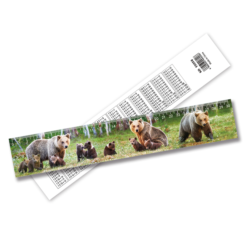 Nueva tendencia de alta calidad barata regla 3D lenticular personalizada regla 3D de irregularidad de la imagen por el proveedor de regla 3D