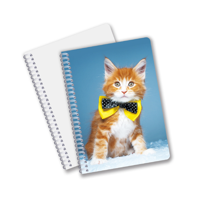 Impresión 3D con efecto 3D Lenticular Cuaderno de portada dura Cuaderno en espiral Forrado Cuaderno perforado Para Niños