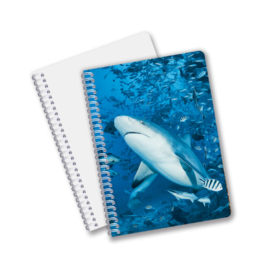 Venta caliente Papelería escolar Impresión 3D Lenticular Cuaderno de diario para recuerdos