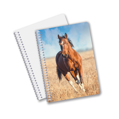 Suministros escolares 3D Cuaderno lenticular personalizado Cuaderno espiral para estudiantes y oficinas