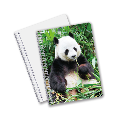 Venta al por mayor de cuadernos de impresión CMYK en forma de espiral 3D con formato PET de tamaño A6 A5 A4 para trabajo de oficina