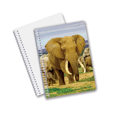Factory Custom B5 A5 A6 Impresión 3D Cuaderno Lenticular Cuaderno de Estudiantes Espiral