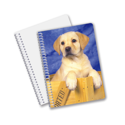 China Factory 3D Lenticular Custom offset Imprimido con PET A3/A4/A5/A6 portátiles