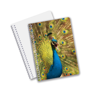 Material PET 3D lenticular personalizado de buena calidad Regalo de promoción Cuaderno de impresión 3D espiral