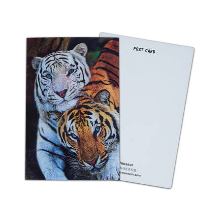 Opciones de participación y donación Tarjeta 3D con impresión lenticular