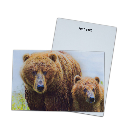 Oso marrón en Alaska Tarjeta lenticular Tarjeta de regalo para turistas Tarjetas postales en 3D