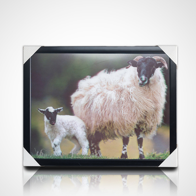 Impresión 3D de carteles lenticulares PET personalizados Pintura 3D con marco PS negro para decoración del hogar