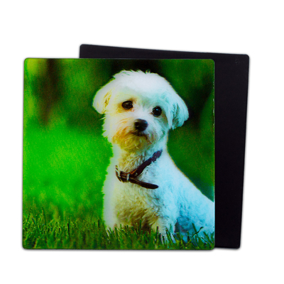 Perritos encantadores Magnetos 3D Lenticular 3D Magnetos de nevera Para regalo de recuerdo