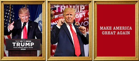 TRUMP Diseña Impresión 3D PET Personalizada Poster Lenticular Impresión 3D Lenticular